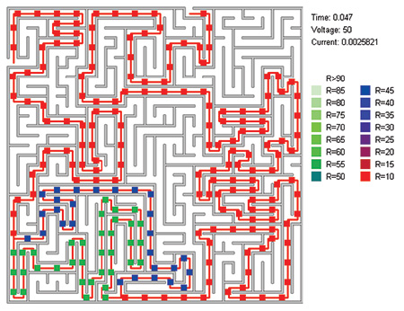 two-solution maze, illustration courtesy . V. Pershin and M. Di Ventra