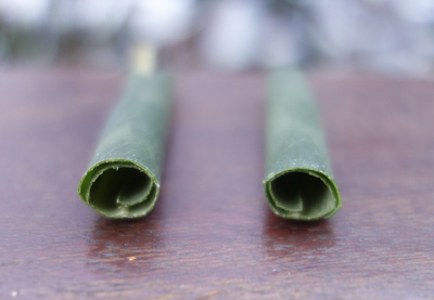 detail of a dissected leaf showing how layers overlap